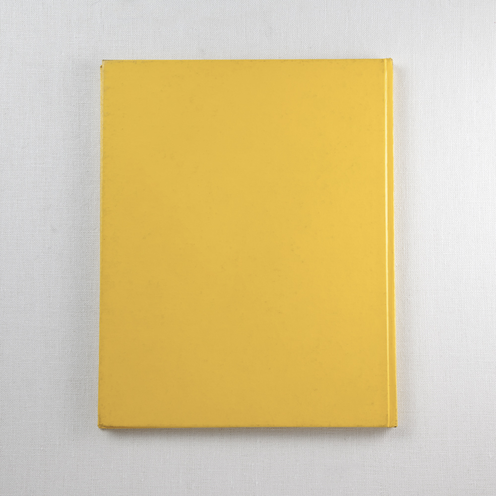 ANDY WARHOL PHOTOGRAPHS image number 4