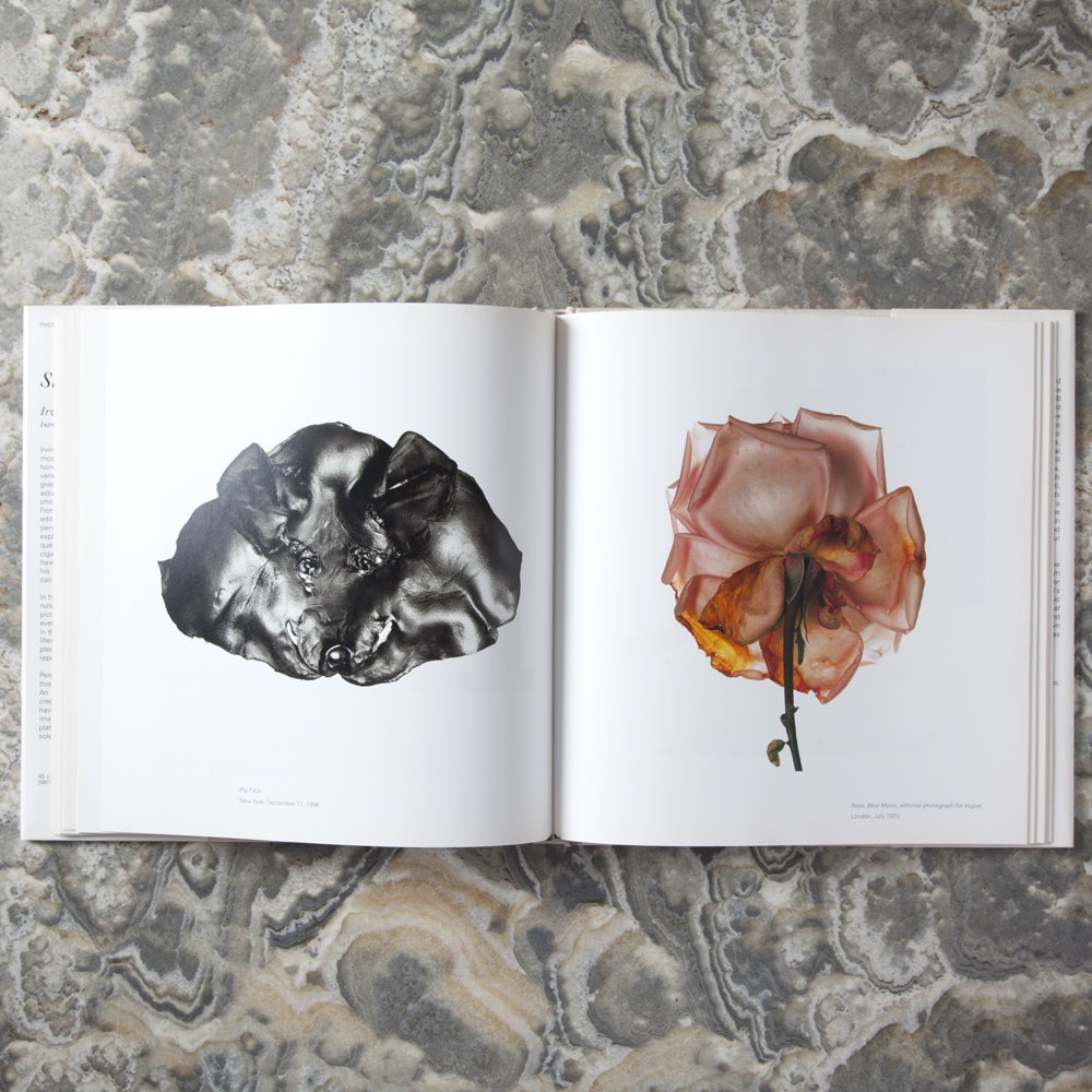 STILL LIFE BY IRVING PENN image number 3