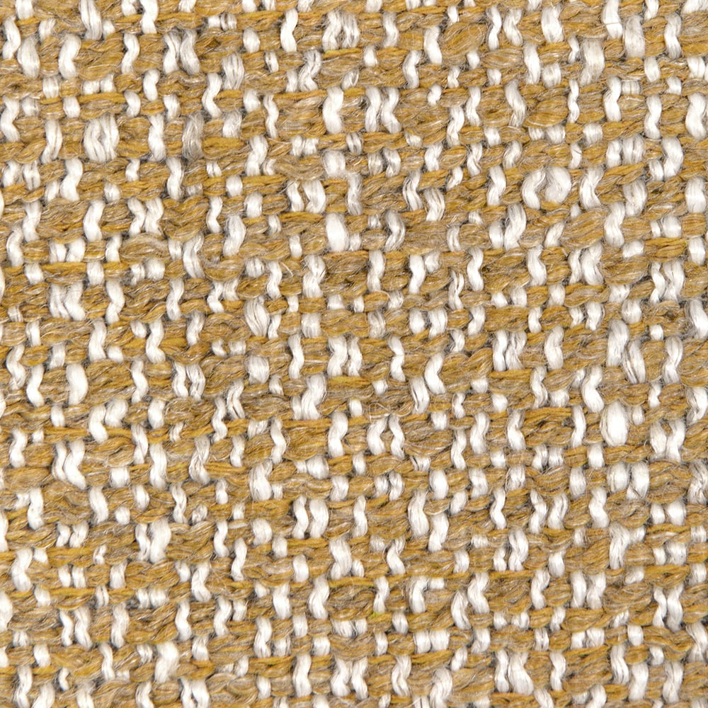 Torus image number 2