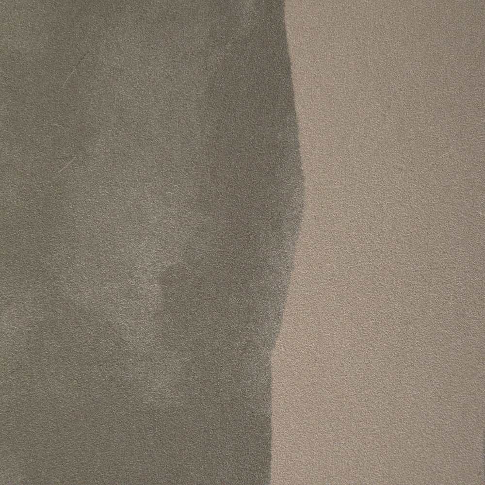 Intargia image number 2