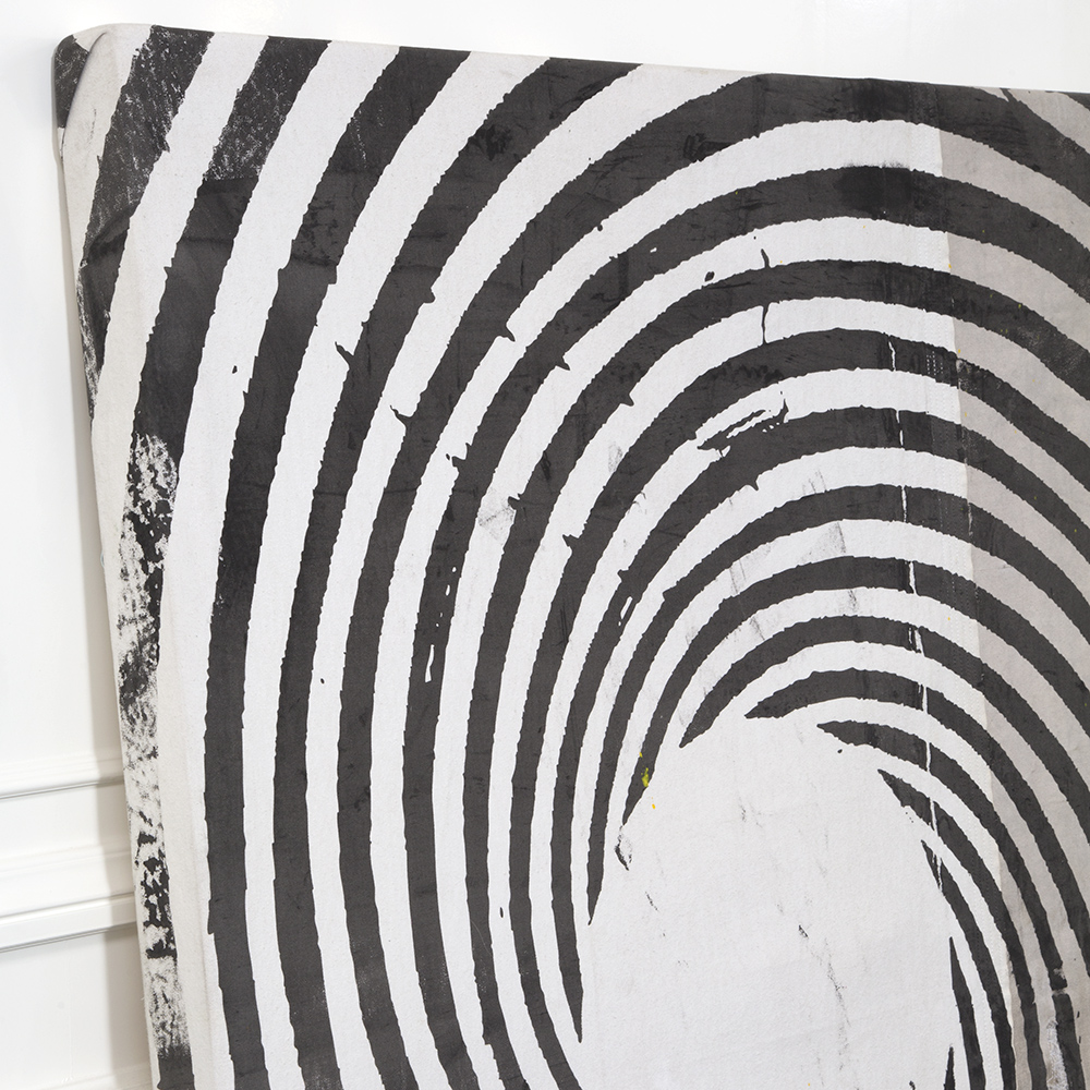 OCULAR image number 3