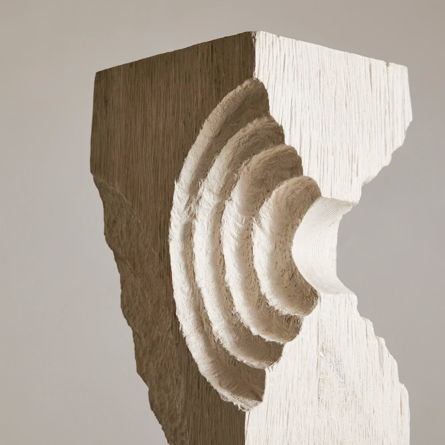 ECHO TOTEM image number 5