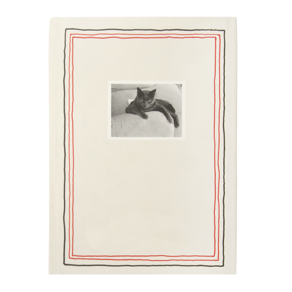 THE CATWALK CATS image number 4