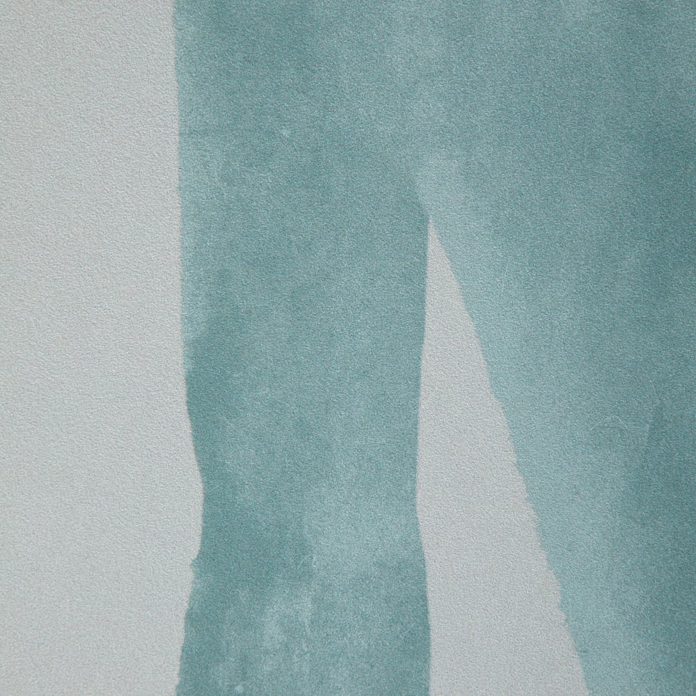 Intargia image number 2