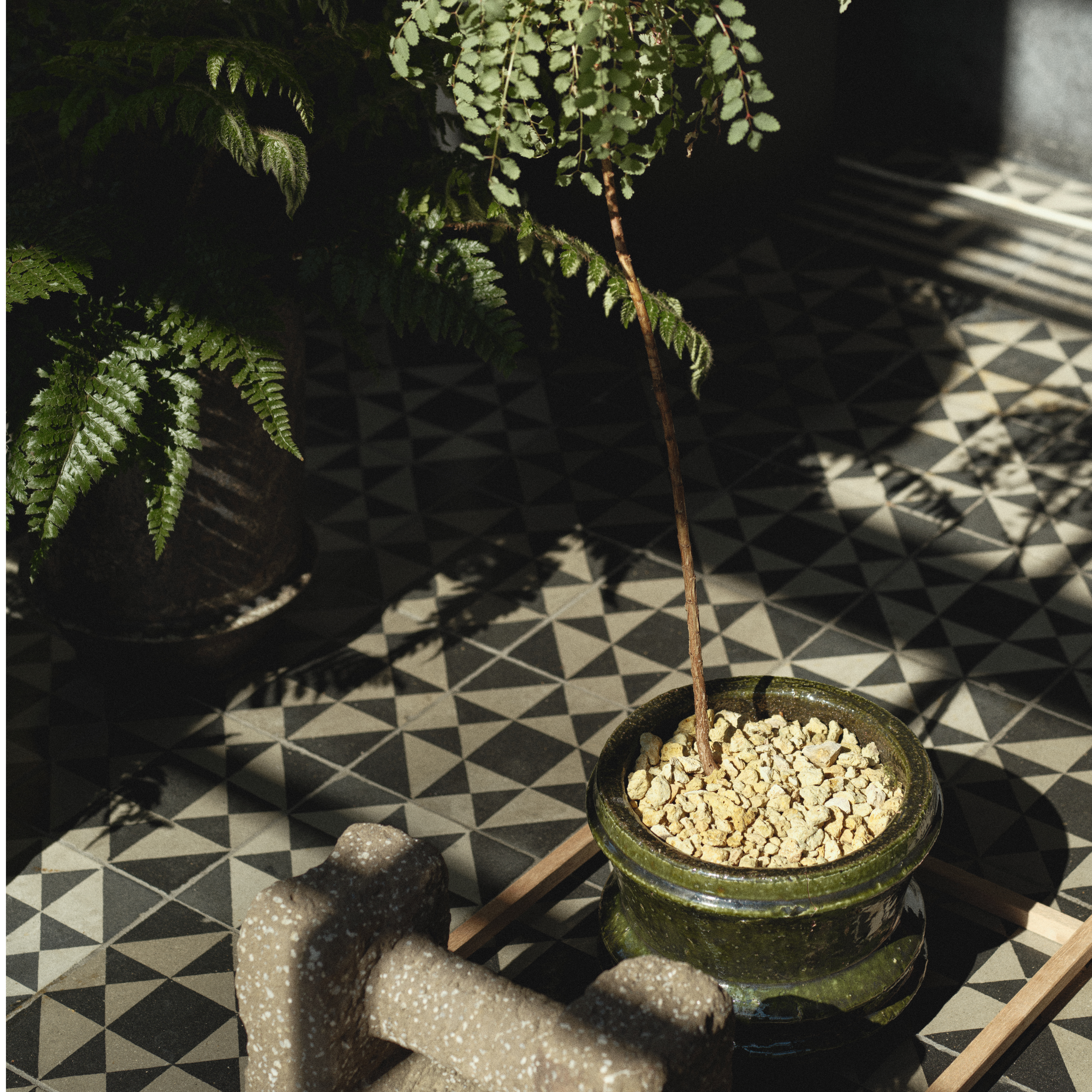 Planter 02 - M image number 3