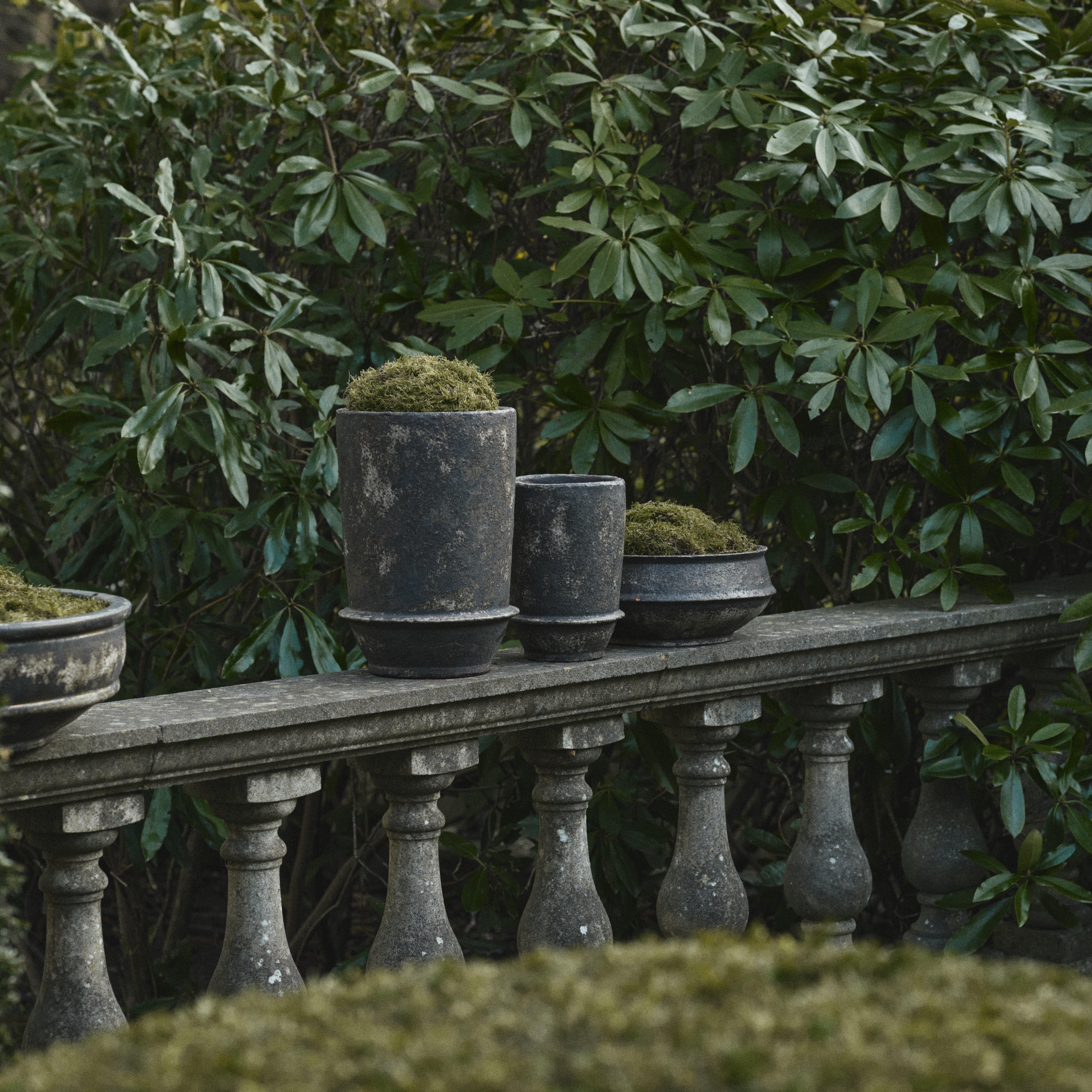 Planter 02 - S image number 2