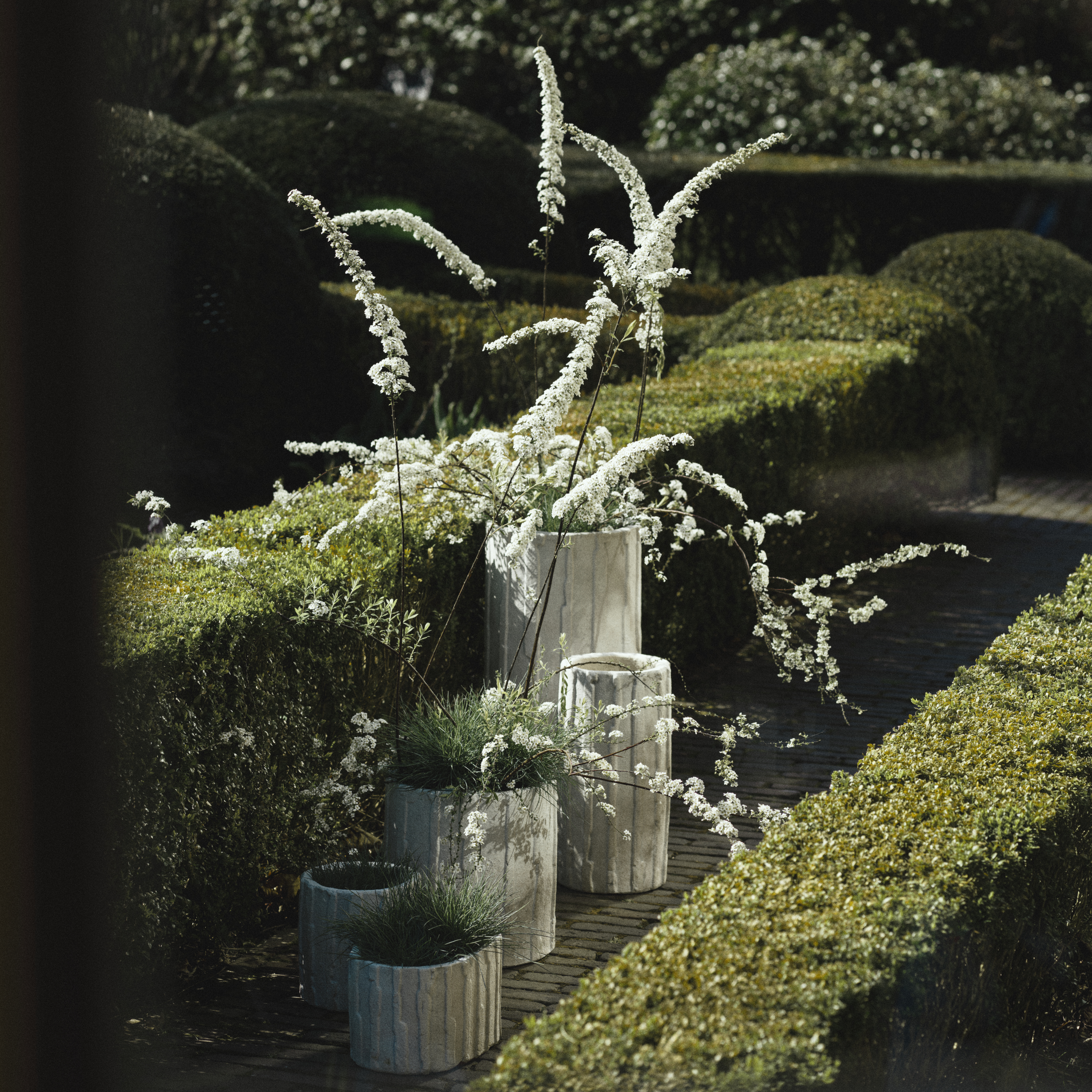 Planter 03 - M image number 2