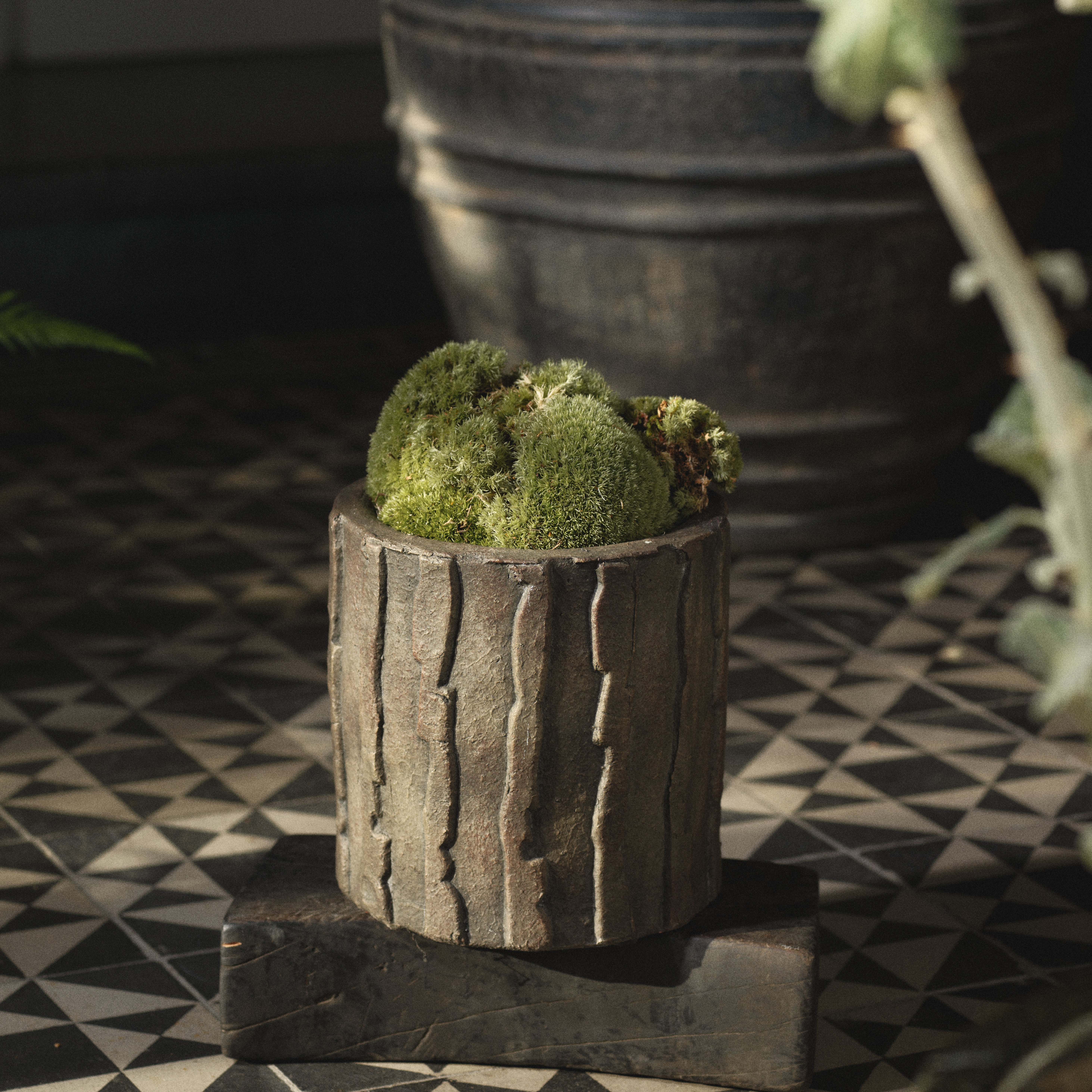 Planter 03 - M image number 3