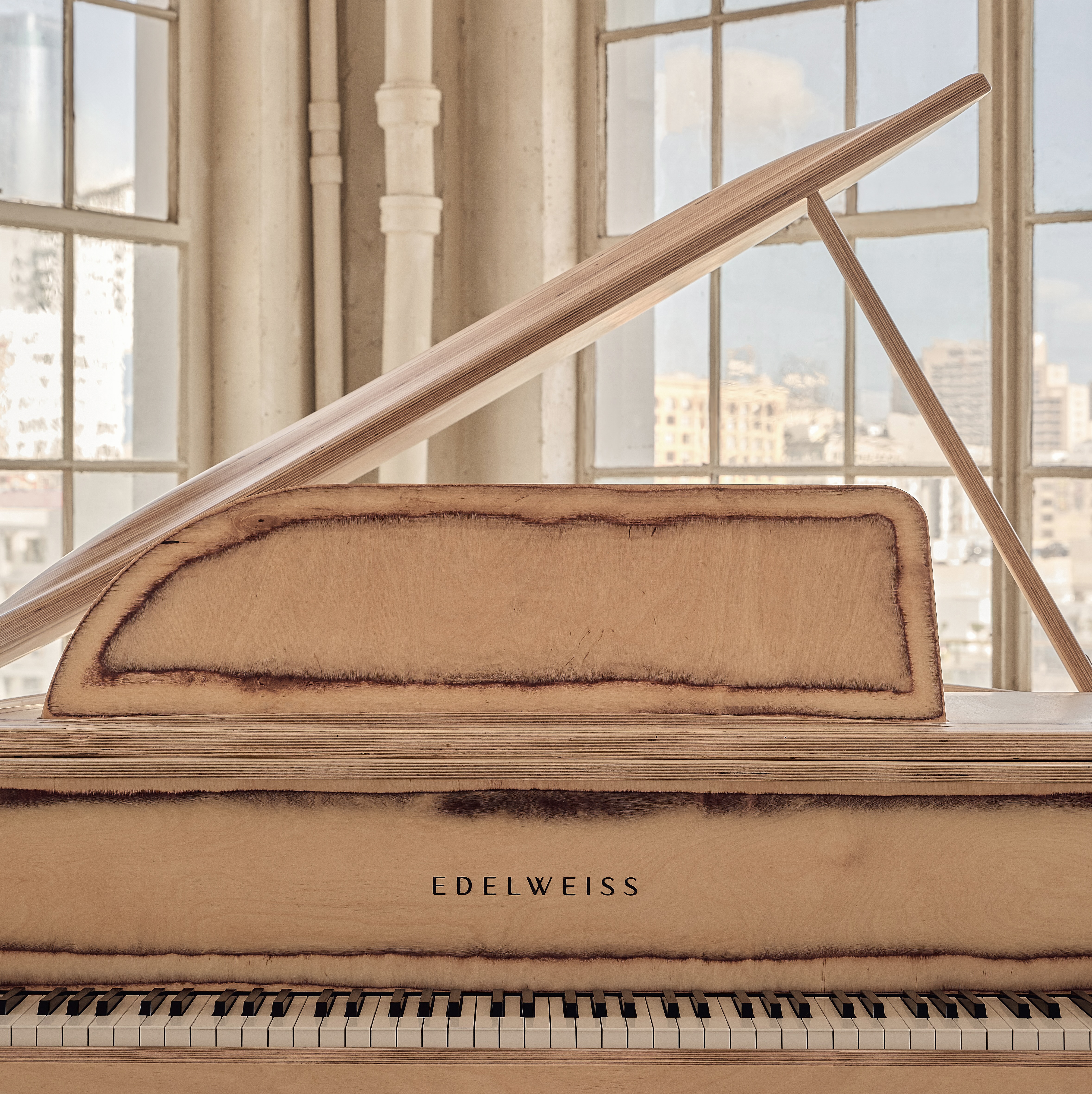 Timbra image number 2