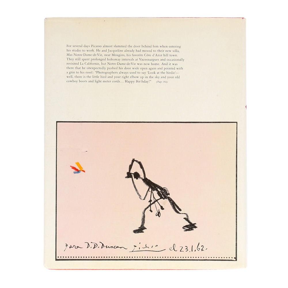 GOODBYE PICASSO image number 4