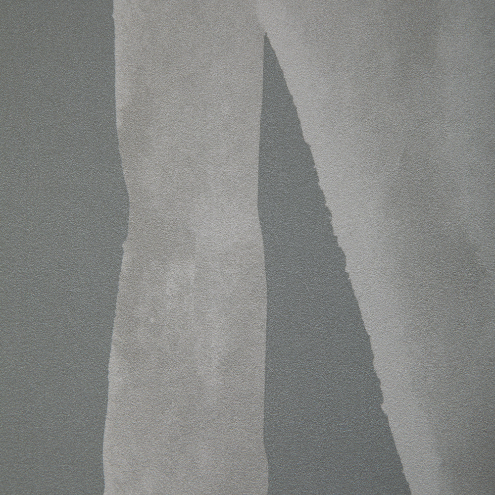 Intargia image number 2
