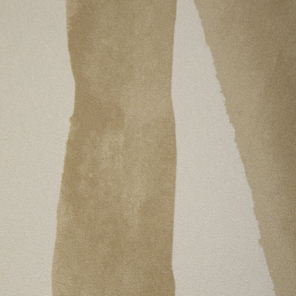 Intargia image number 2