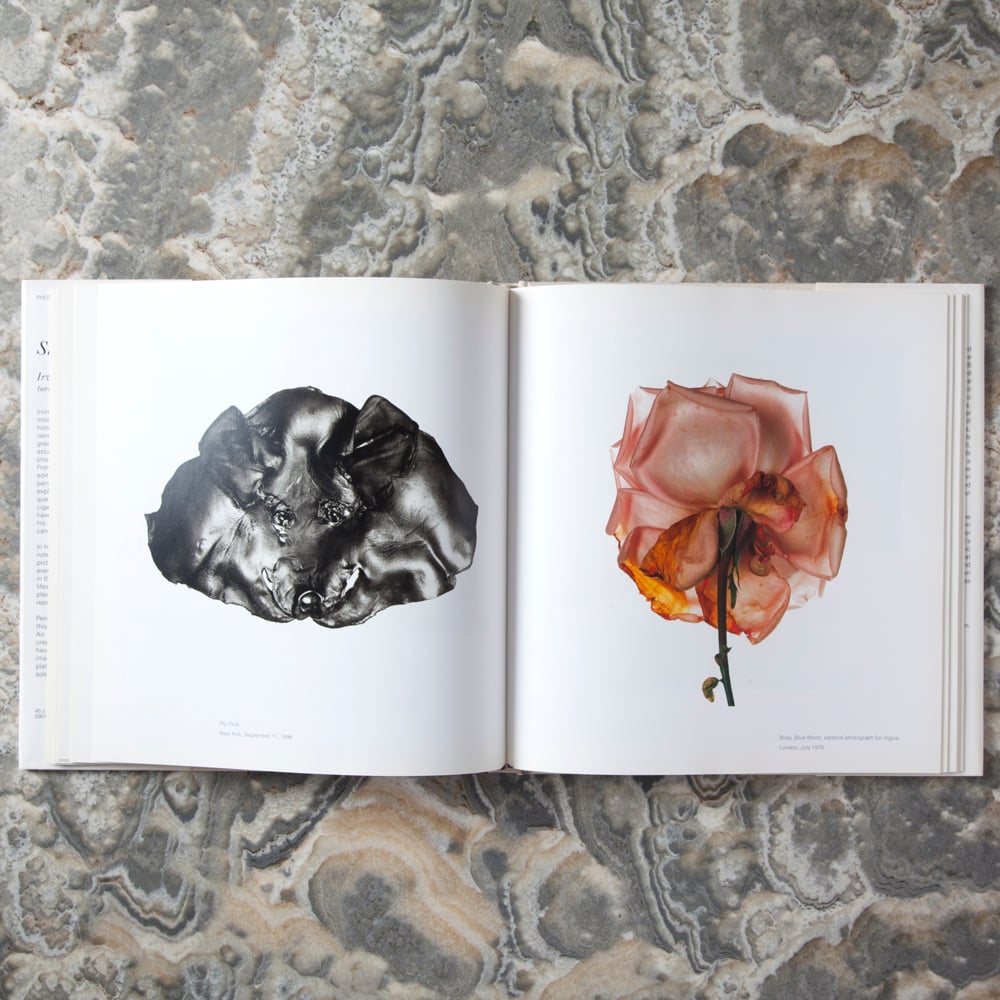 STILL LIFE BY IRVING PENN image number 3