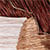 color as shown