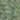 color willow green