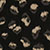 color ebony beige