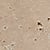 color travertine