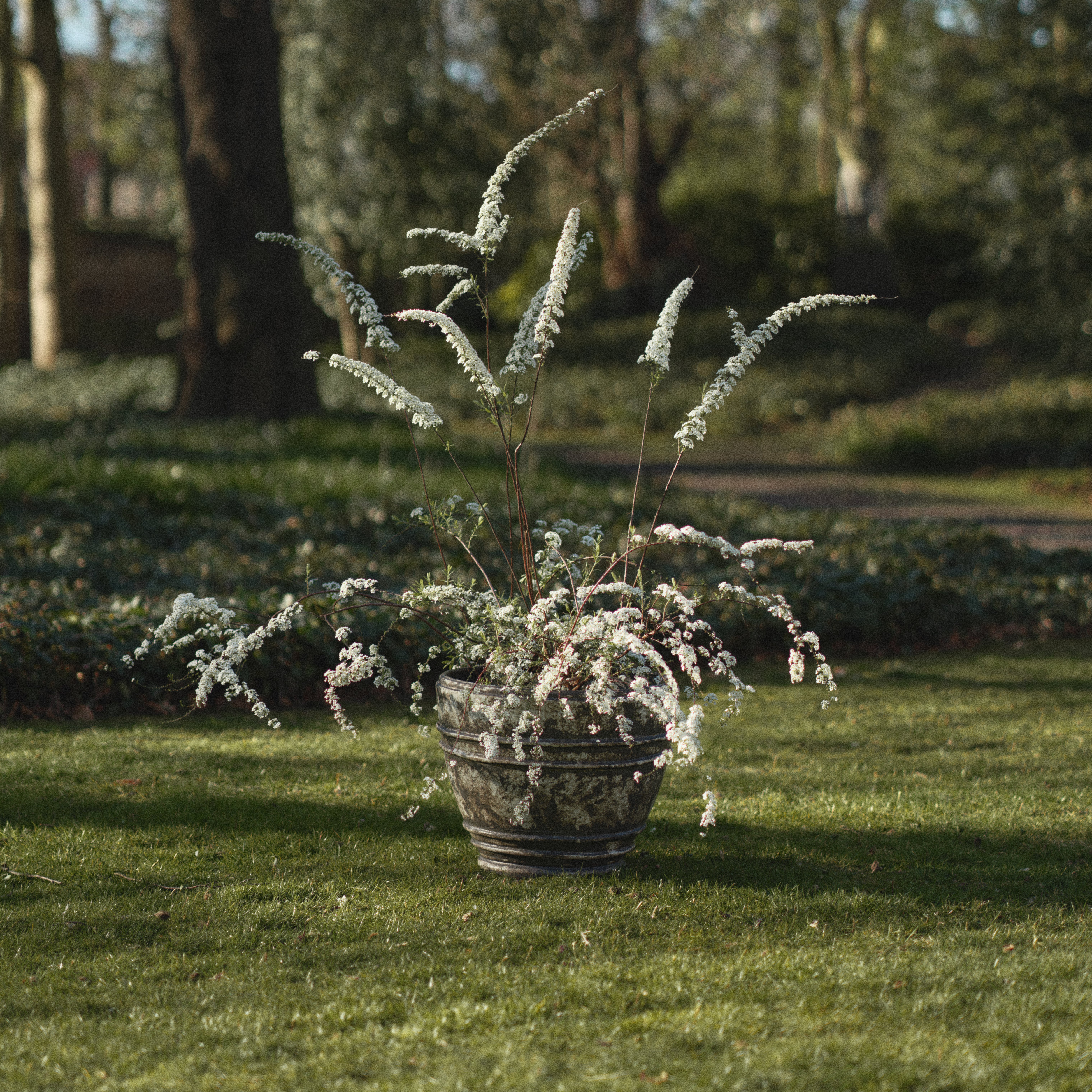 Planter 01 - L image number 2