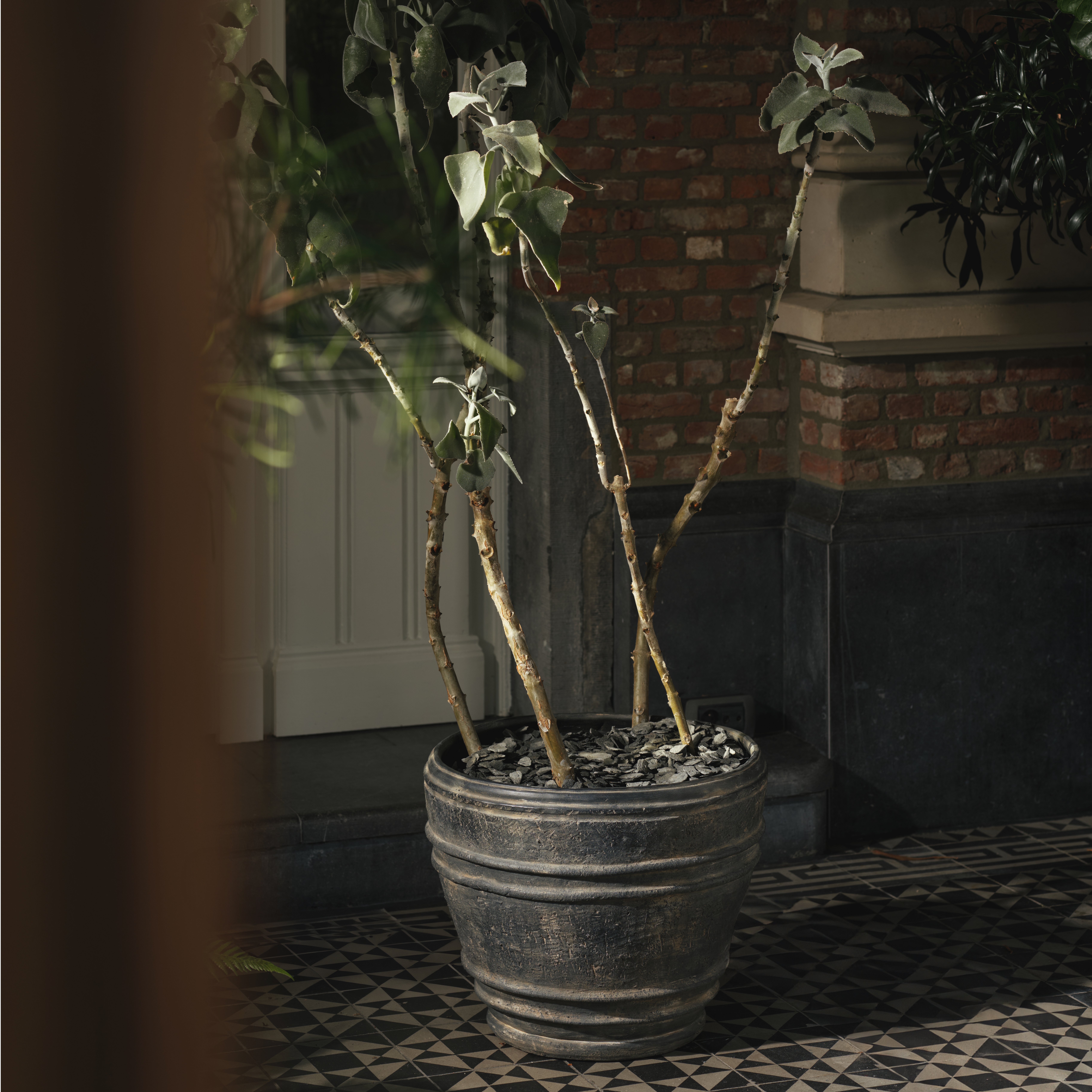 Planter 01 - L image number 3